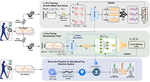 Wearable-Based Real-time Freezing of Gait Detection in Parkinson's Disease Using Self-Supervised Learning [Abstract]